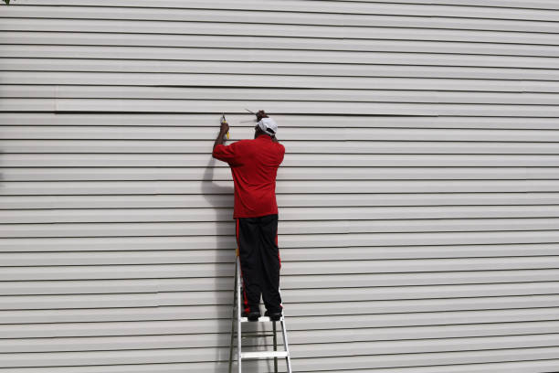 Best Siding for Commercial Buildings  in Brookshire, TX